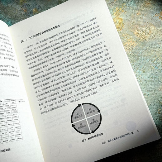 I-DO学习模式的创意与实践 李倩 科创特色课程体系构建 商品图9