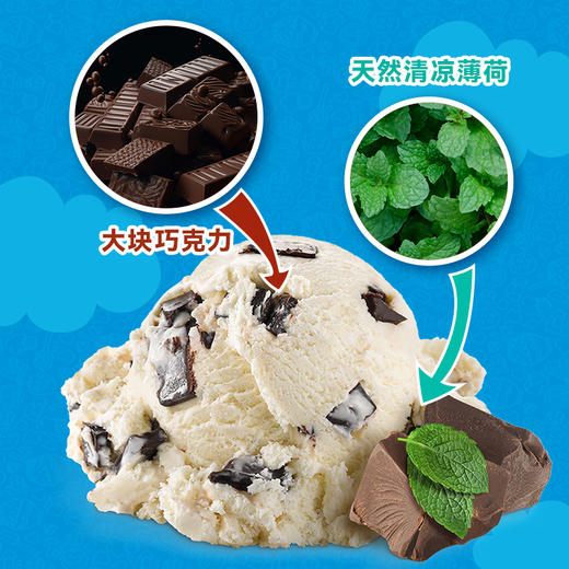 Ben&Jerry's本杰瑞巧克力布朗尼冰淇淋465mL进口香草焦糖桶装雪糕 商品图6