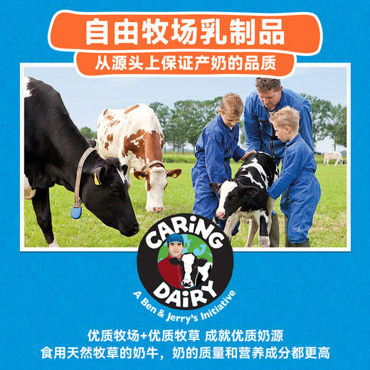 Ben&Jerry's本杰瑞巧克力布朗尼冰淇淋465mL进口香草焦糖桶装雪糕 商品图2
