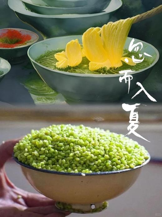 青嫩翠绿！【新鲜青麦仁】  清香扑鼻 颗颗饱满多汁 自带清甜麦香 熬粥 炒菜 色香味 商品图1