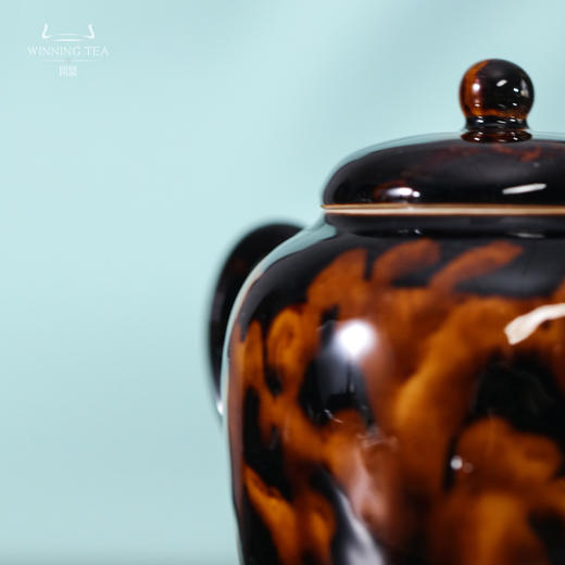 问鼎虎斑天目古春壶 商品图4