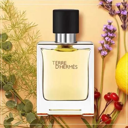 【香水小样】爱马仕大地香水5ML/香奈儿coco小姐7.5ML/香奈儿5号香水7.5ML（无喷头）香港直邮D 商品图2