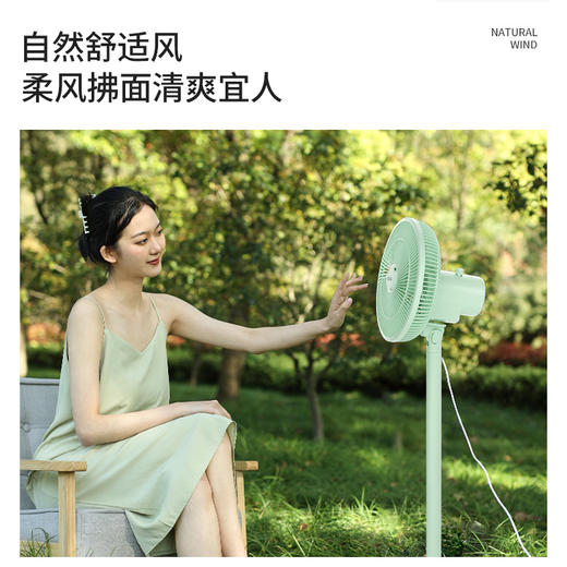 驱蚊香薰款双风叶落地扇LF301 商品图3