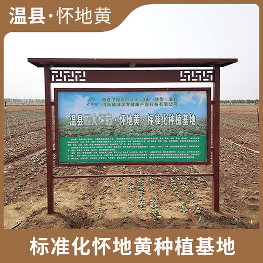 优选|九制怀地黄 开盖即食 拒绝熏硫 肉质厚实 甘甜软糯 150g/盒 商品图4