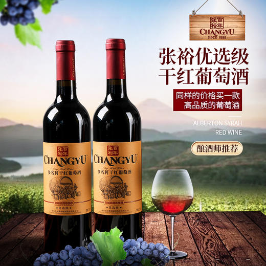 张裕多名利优选级干红 酿酒师推荐 750ml*6瓶 商品图5