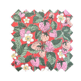 LT249A  草莓幻梦 Starwberry Dream 爱心系列胶囊限定  269元/米