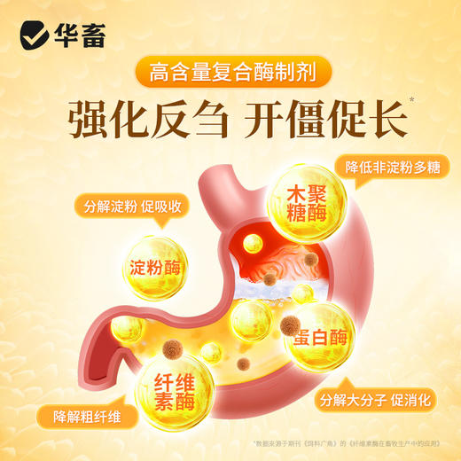 酸香瘤胃宝1kg 商品图2