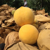 山东蒙阴黄金蜜桃4.5-5斤（9-15个） 商品缩略图2