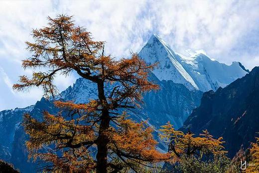 川西秋色丨牛背山云海星空+稻城亚丁8天摄影团 商品图1