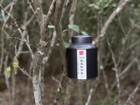 【会员福利】2024抛荒牡丹王，汤水清的，润的。如清凌凌的山泉拂过喉尖！