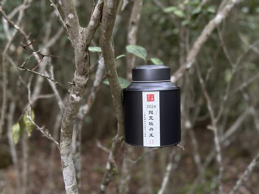 【会员福利】2024抛荒牡丹王，汤水清的，润的。如清凌凌的山泉拂过喉尖！ 商品图0