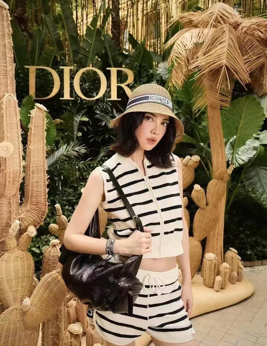 迪奥25新款条纹马甲背心（TM） 商品图1