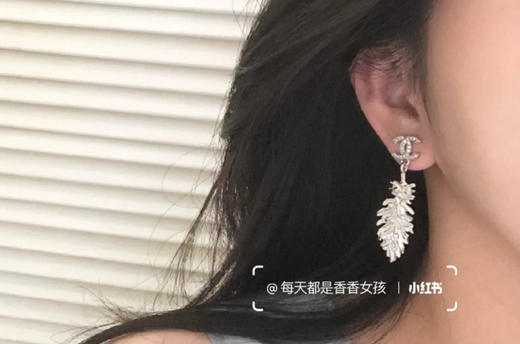 小香 胸针。耳环 商品图2