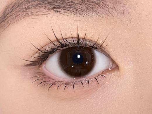 Toffee日抛--可露丽 商品图7