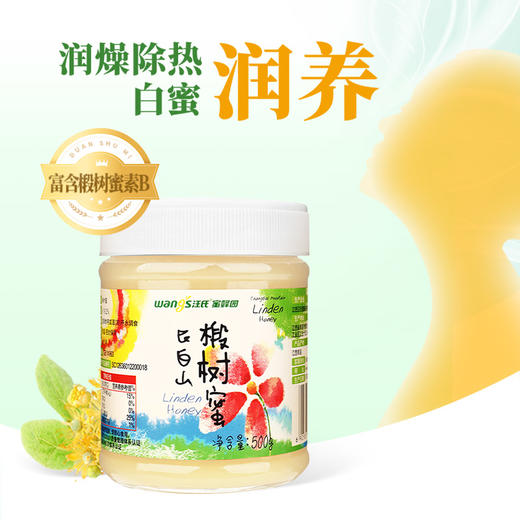 【汪氏】长白山雪蜜正宗椴树蜜 500g 商品图1
