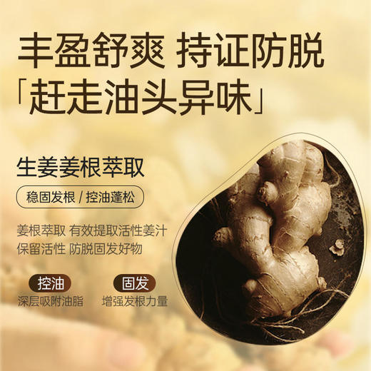 【所有会员可享】生姜洗发水30ml｜防脱固发养发,控油蓬松（订单满29元可联系客服随单寄出） 商品图2