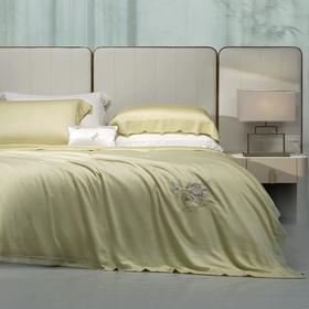 whinny/惠谊 清凉天丝™空调被秋丰白玉可水洗桑蚕丝夏被 雨露麻