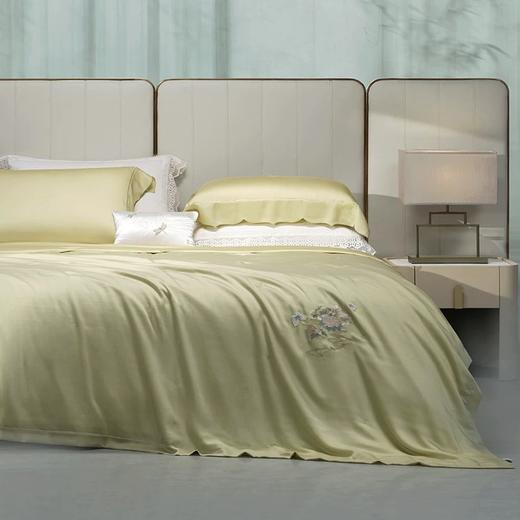 whinny/惠谊 清凉天丝™空调被秋丰白玉可水洗桑蚕丝夏被 雨露麻 商品图0