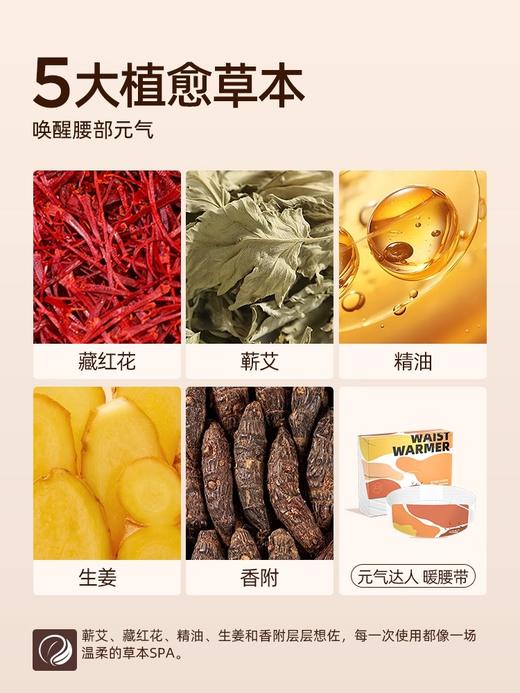 元气达人蕲艾热敷暖腰带 商品图4