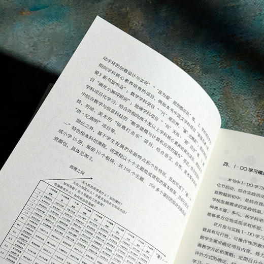 I-DO学习模式的创意与实践 李倩 科创特色课程体系构建 商品图8