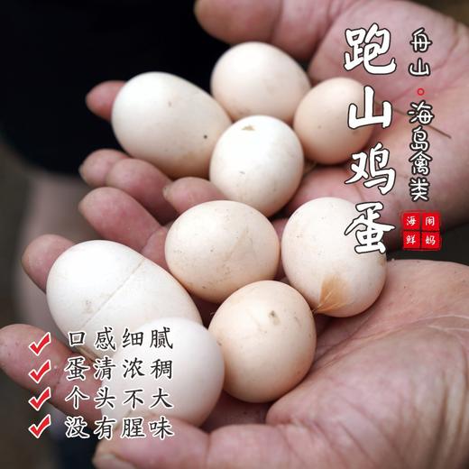 【闹妈海鲜】新品舟山鸡蛋 30枚/组 包邮（除偏远）单独发货 商品图0