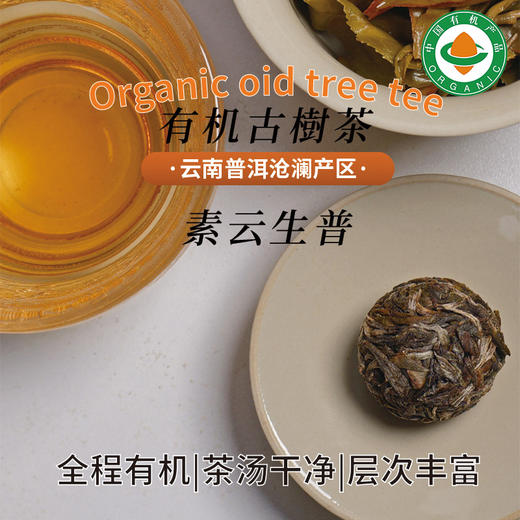 云南有机古树茶龙珠试饮装|4粒【有机白茶/有机生普/有机红茶/有机熟普】（限购2袋） 商品图4