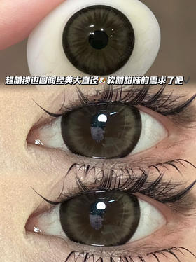 软萌小狗棕·半年抛型