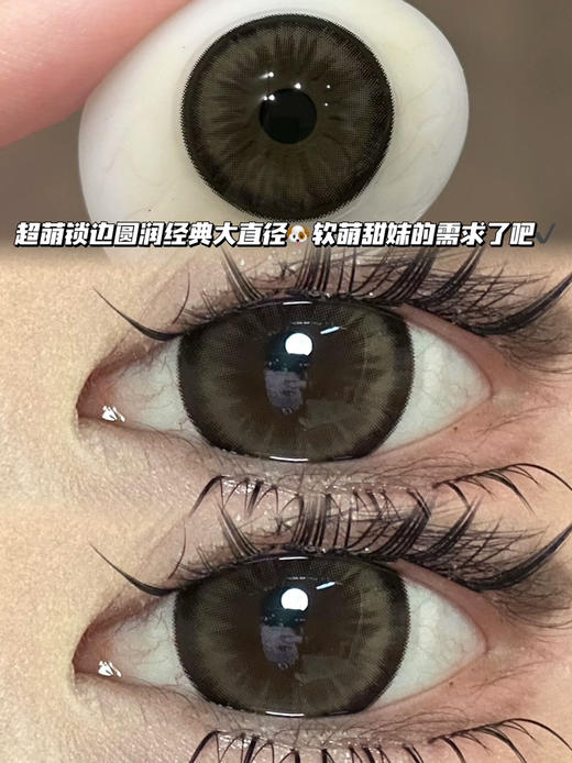 软萌小狗棕·半年抛型 商品图0