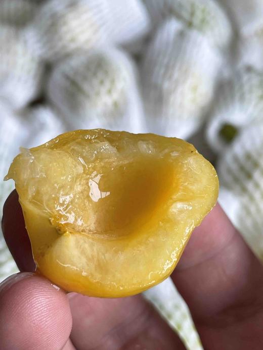 正宗新疆轮台小白杏 天山雪水浇灌，杏味足，甜度高！看看什么才是轮台产区的小白杏！ 商品图2