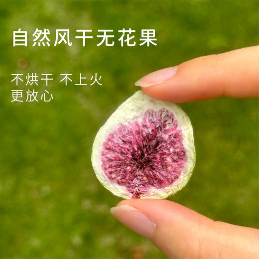 女性滋补佳品无花果养雌粉呵护健康每一天 商品图1
