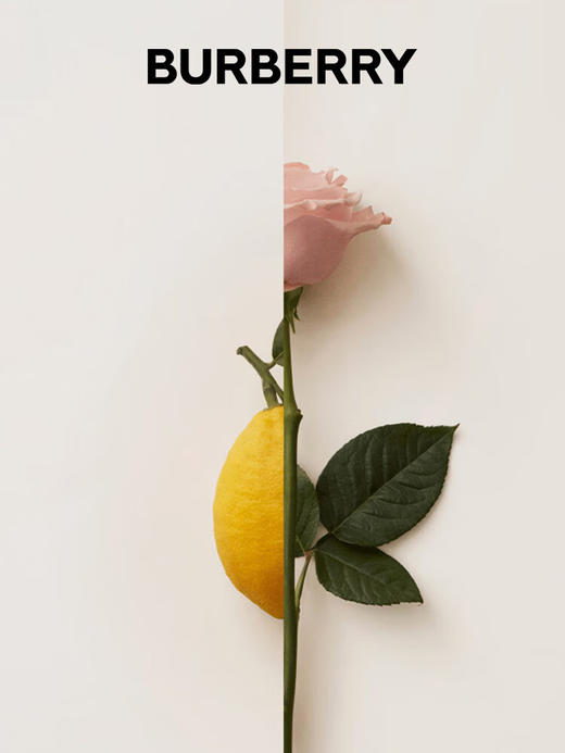 博柏利我的博柏利花之绯女士香氛 50ml 商品图1