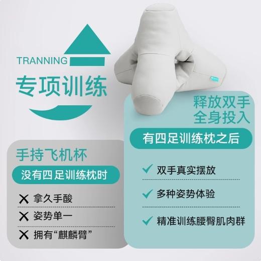 日本TENGA 四足飞机杯训练枕 商品图2