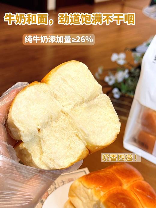 梦仲瑶肉肉吐司480g*2 商品图8