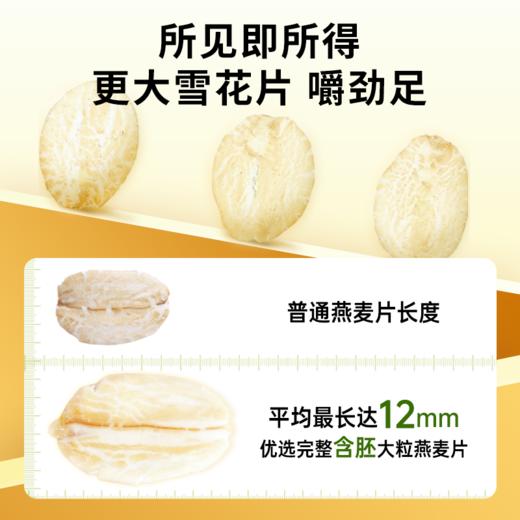 好麦多有机胚芽燕麦片900g桶装更大粒全谷物 商品图3