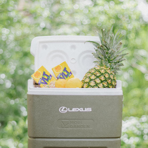 LEXUS × MOBIGARDEN保温箱 商品图2