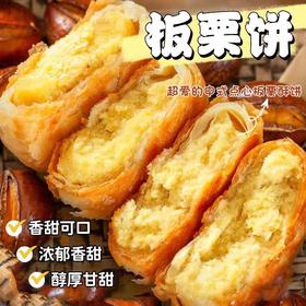 【掉渣酥饼馅，好吃停不下来！】无加蔗糖板栗饼500g 掉渣酥饼馅休闲零食 小吃老婆饼传统糕点 早餐下午茶点心-QQ