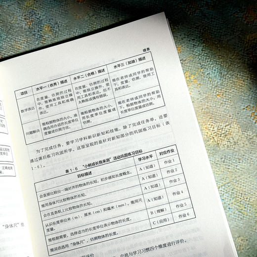 I-DO学习模式的创意与实践 李倩 科创特色课程体系构建 商品图13