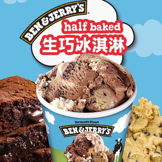 Ben&Jerry's本杰瑞巧克力布朗尼冰淇淋465mL进口香草焦糖桶装雪糕 商品图0