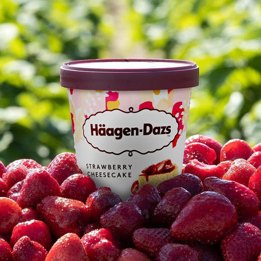 HAAGEN-DAZS冰淇淋系列全家桶进口多口味460ml*4 商品图5