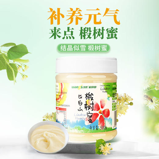 【汪氏】长白山雪蜜正宗椴树蜜 500g 商品图0