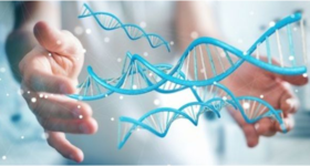 备孕养卵，关键是养好线粒体！