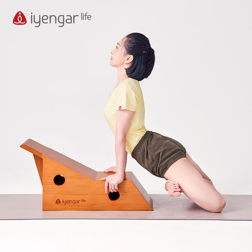 艾扬格 Life 四孔狮式箱/艾扬格瑜伽辅具（鸡翅木） 商品图5