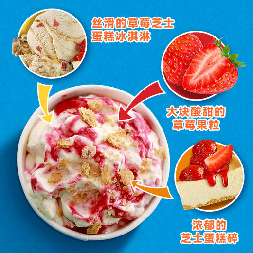 Ben&Jerry's本杰瑞巧克力布朗尼冰淇淋465mL进口香草焦糖桶装雪糕 商品图8