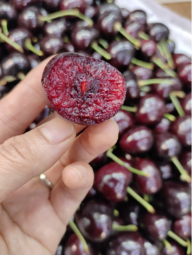 巨无霸俄八樱桃一斤