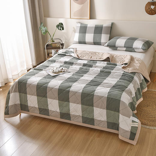 蚕如诗亲肤水洗棉夏凉被 商品图1