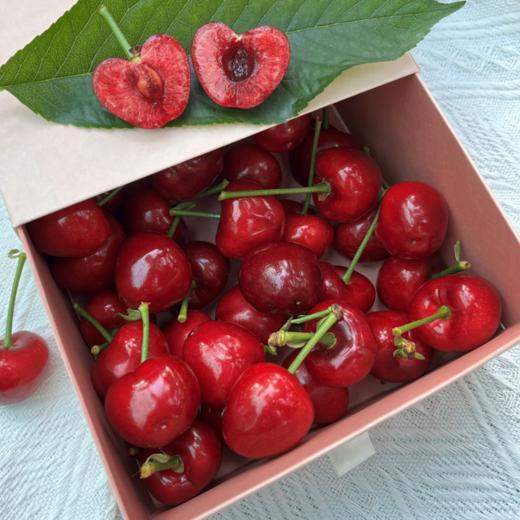 大连美早樱桃【顺丰空运】 商品图3