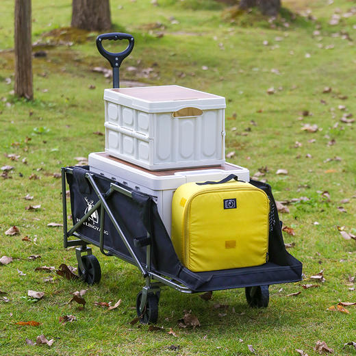 徽羚羊 云途 营地车 5寸 后开款 黑色 商品图1