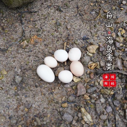 【闹妈海鲜】新品舟山鸡蛋 30枚/组 包邮（除偏远）单独发货 商品图3