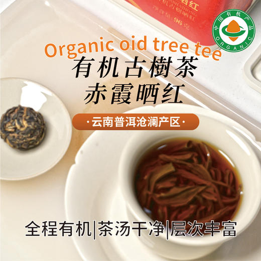 云南有机古树茶龙珠试饮装|4粒【有机白茶/有机生普/有机红茶/有机熟普】（限购2袋） 商品图1