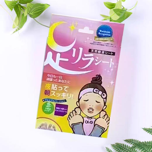 日本本土足贴中村树之惠天然树液足美人植物树叶薰衣草艾草生姜多款足贴30片/盒 商品图4